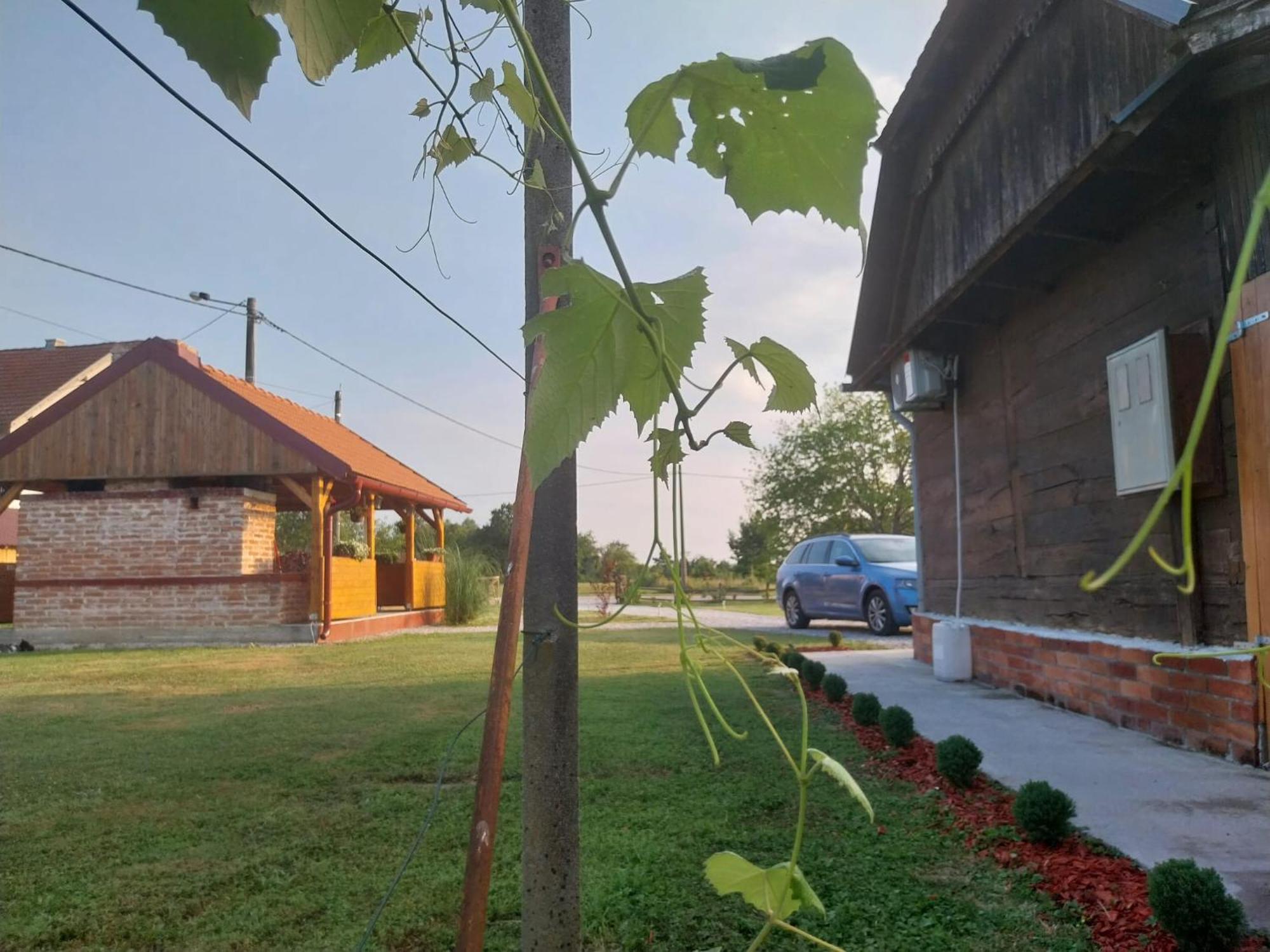 Kuca Za Odmor Jopi I Mare Villa Topusko Exterior photo