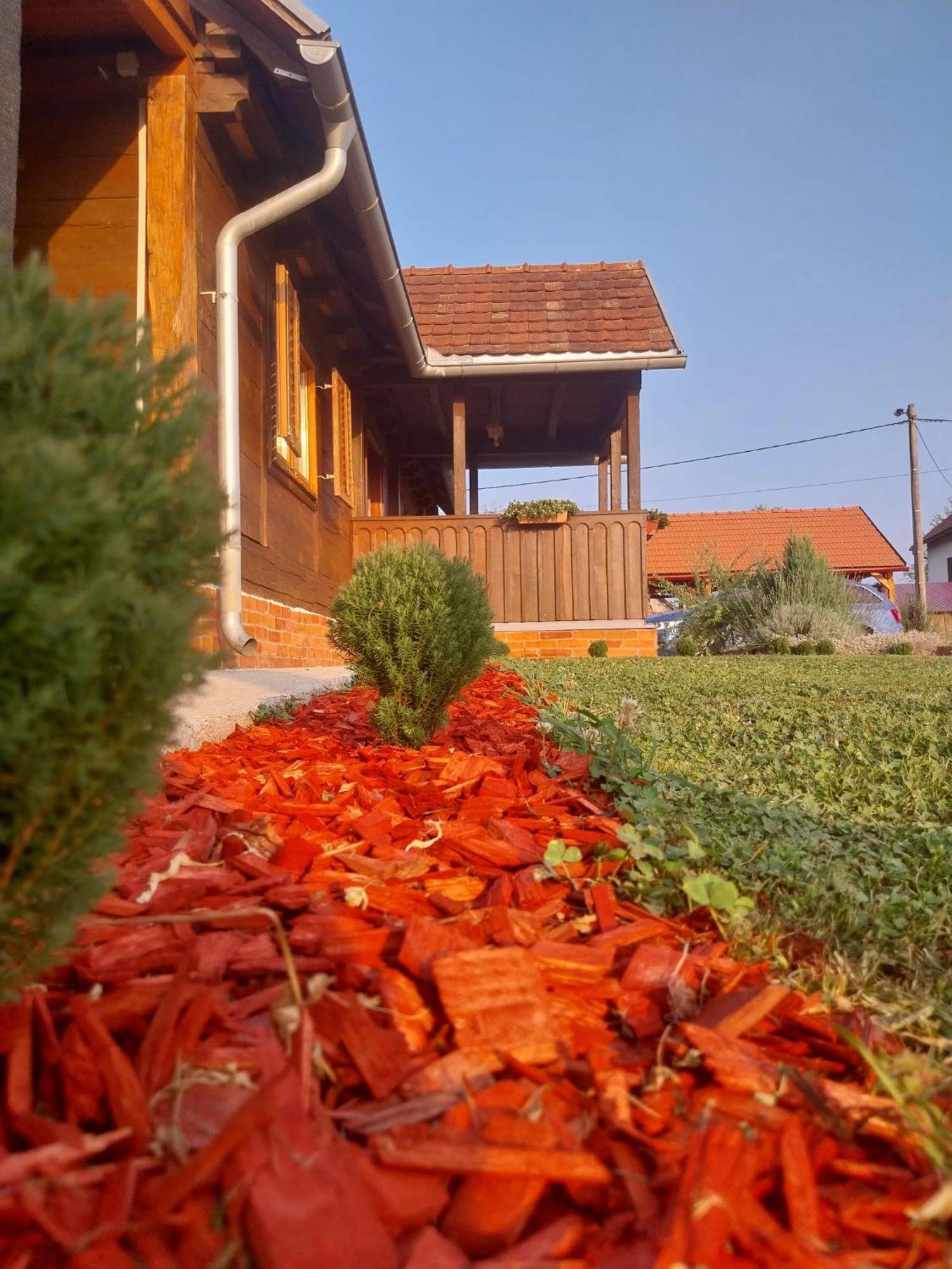 Kuca Za Odmor Jopi I Mare Villa Topusko Exterior photo