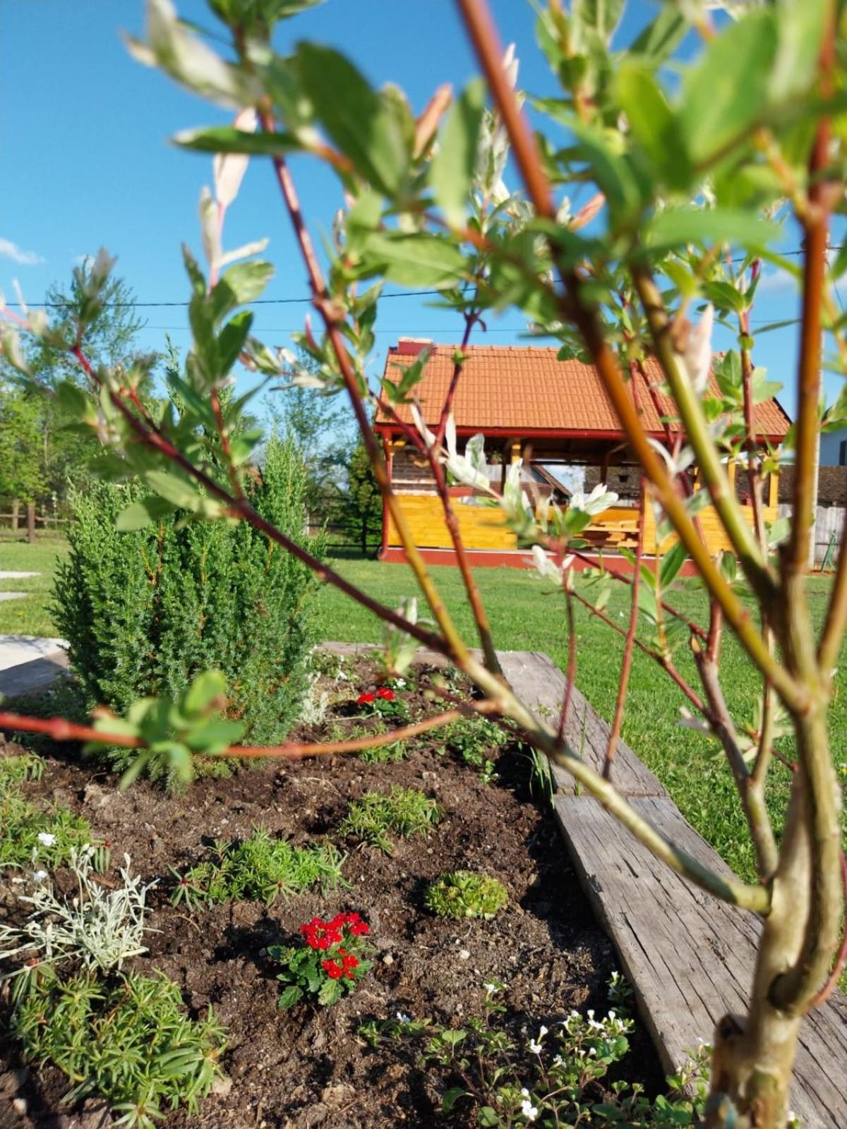Kuca Za Odmor Jopi I Mare Villa Topusko Exterior photo