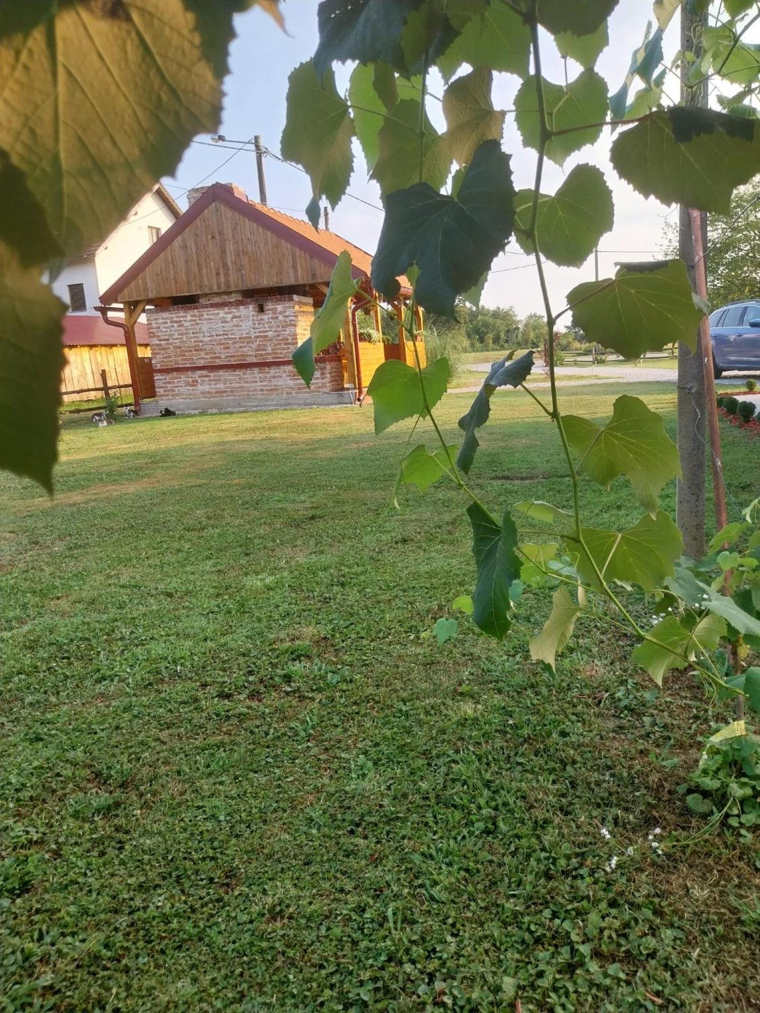 Kuca Za Odmor Jopi I Mare Villa Topusko Exterior photo